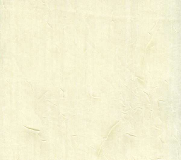 Evelyn Crinkled Voile - 95" Tailored Panel - CLEARANCE - Image 3